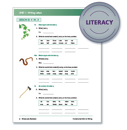 Literacy 2 - Steck-Vaughn® Fundamental Skills 
