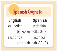 Spanish Cognate