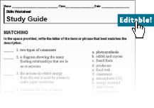 study guide worksheet