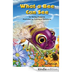 What a Bee can See